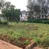 0.25 ac Land at Runda Mhasibu Estate thumb 4
