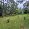 4 Bed Apartment with En Suite in Riverside thumb 3