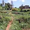 Land For Sale off Kihara Karura Road, Gachie thumb 1