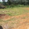 Beautiful one eighth  ( 1 / 8 ) Plots in Ongata Rongai thumb 7