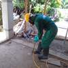 Professional Pest Control - Pest Control Nairobi thumb 0