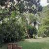 1 ac Commercial Land in Kilimani thumb 4