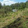 Lovely Quarter ( 1 / 4 ) Acre Land in Ngong thumb 6