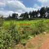 0.1 ha Commercial Land in Kikuyu Town thumb 6