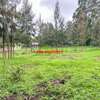 0.05 ha Commercial Land in Kikuyu Town thumb 15