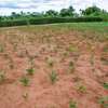 100 by 100 ft plot in Omega Estate Kibwezi Makueni County thumb 3