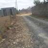 0.125 ac Residential Land in Kitengela thumb 3