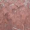 5 Acres red soil land for sale thumb 3