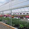 Greenhouse Services.Trusted & Affordable Professionals.Free Quote thumb 7