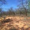 64 acres along Makindu-Wote Road Makueni County thumb 12