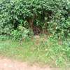 40*110 ft plots for sale at Kenol along Kagia road thumb 3