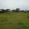 0.25 ac Land at Kibiko thumb 3