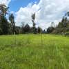 0.125 ac Land at Matasia thumb 3