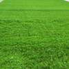 Grass carpets (21_21) thumb 0