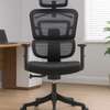 Office Chair: Mesh Orthopedic Designed Office Seat thumb 0