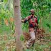Bestcare Gardeners Syokimau,Kiserian,Thindigua, Kiambu thumb 2