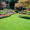 Looking For Vetted  & Trusted Garden Maintenance Specialists in Nairobi ? Free Quote & advice . thumb 10