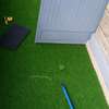 New Grass CarpetS thumb 2