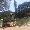 Best Tree Cutting Services | Cleaning & Domestic Services | Landscaping & Gardening Services | Moving, Transport & Storage  Services thumb 2