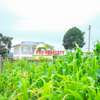 0.06 ha Residential Land at Kamangu thumb 9