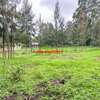 0.05 ha Commercial Land in Kikuyu Town thumb 8