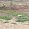 4.5 ac Land in Athi River thumb 1