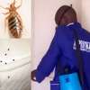 BED BUG Fumigation and Pest Control Services in Mombasa Road thumb 0