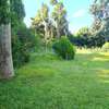 Thika-Maki Estate:Delightful five bedrooms house for rent. thumb 6