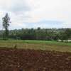 3.25 Acres Of Land For Sale in Ruku/Wangige thumb 11