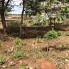 land for sale in Thika thumb 6