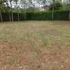 Beautiful one eighth plots in Ngong thumb 4