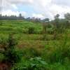 Prime Residential plot for sale in Kikuyu, Gikambura thumb 4