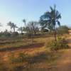 Land at Mavueni Kaloleni Road thumb 5