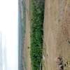 TIMAU LAIKIPIA SIDE 242 ACRES OF ARABLE LAND FOR SALE thumb 2