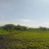 20 Acres Touching Masinga Dam Is Available For Sale thumb 1