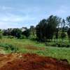 Land for sale in Enkasiti thumb 0