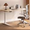Office Desk: Electric Height Adjustable Office Desk thumb 0