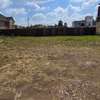 0.125 ac Residential Land at Canaan Street thumb 5