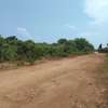 1,000 ft² Land at Diani Beach Road thumb 3