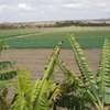 10 ac Land in Isinya thumb 0