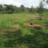 Lovely One Acre in Karen thumb 9