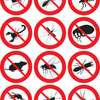 Bestcare bed bugs & cockroaches Fumigation Services Nairobi thumb 0