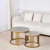 Marble Nesting Coffee Table thumb 2