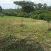 1 ac Land in Karen thumb 3