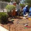 Bestcare Gardening Services Nairobi Kikuyu,Limuru,Kiambu thumb 2