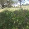 Lovely 4 Acre Land in Kiserian thumb 0