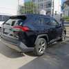 Toyota RAV4 hybrid 2019 sunroof thumb 11