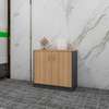 Credenza Cabinet;2-Door Credenza Storage Cabinet thumb 7
