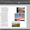 Adobe Indesign 2020 (Windows/Mac OS) thumb 4