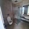 2 Bed Apartment with En Suite in Westlands Area thumb 17
